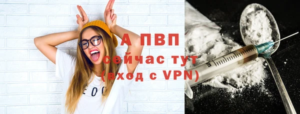 стафф Богданович